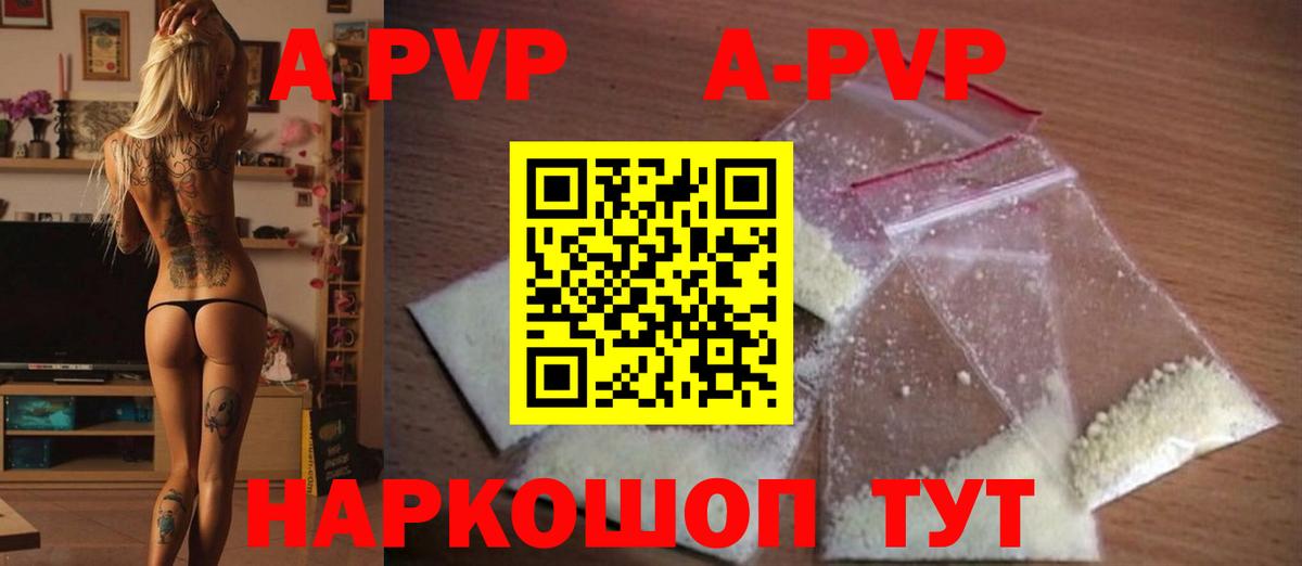 A PVP СК КРИС Ухта