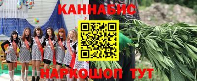 дмт Будённовск