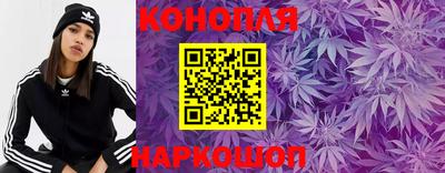 дмт Будённовск