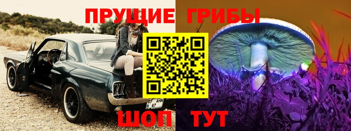 Галлюциногенные грибы прущие грибы  Псилоцибиновые грибы Cubensis  Ухта  Вход с VPN 